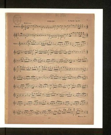 Violino.