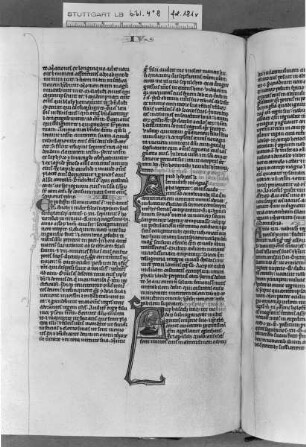 Lateinische Taschenbibel — Initiale A (rphasath), darin Enthauptung des Holofernes, Folio 181verso