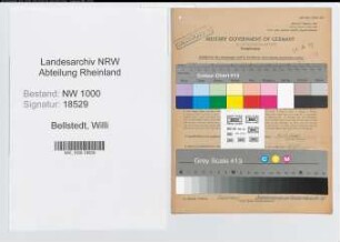 Entnazifizierung Willi Bellstedt, geb. 04.05.1906 (Kaufm.Angest.)