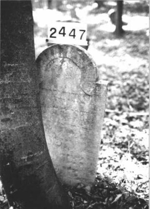 Grabstein 2447