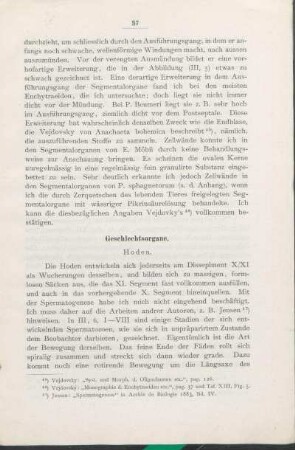 Geschlechtsorgane.