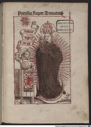 Puerilia super Donatum