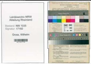 Entnazifizierung Wilhelm Gross , geb. 09.02.1902 (Bautechniker)