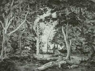 Naturschutzgebiet Insel Vilm