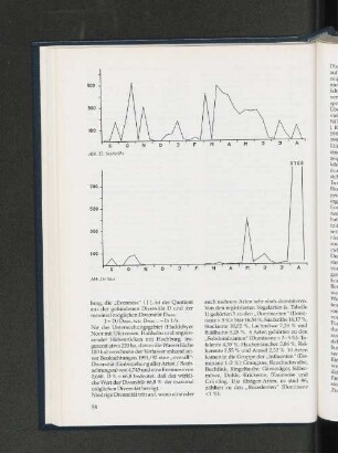 Abb. 16: Star