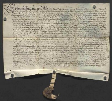 Hans Reinhardt und Hans Schnabel, Einwohner zu Elsenfeld (Elsaffen), bekunden am 8. Mai 1572, dass sie bereits im Jahr 1571 mit Simon Horn dem Älteren und dessen Sohn Philipp Horn für 900 Gulden die Kreuz- oder Ringelmühle an Hans Leonhard von Aulenbach, Amtmann zu Hausen, verkauft haben. Sie quittieren vor Zeugen die Bezahlung der Kaufsumme und übertragen das Gut mit Nennung der darauf lastenden Zinsen/Gülten. Ankündigung des Siegels von Melchior Hunger, Oberschultheiß zu Kleinwallstadt.