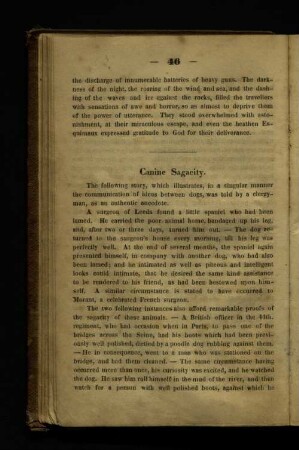 Canine Sagacity.