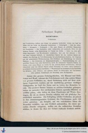 XVII. Animismus. Fortsetzung.