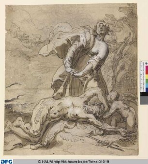Venus an der Leiche des Adonis