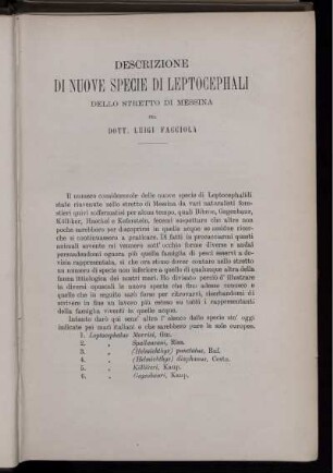 Descrizione Di Nuove Specie Di Leptocephali Dello Stretto De Messina