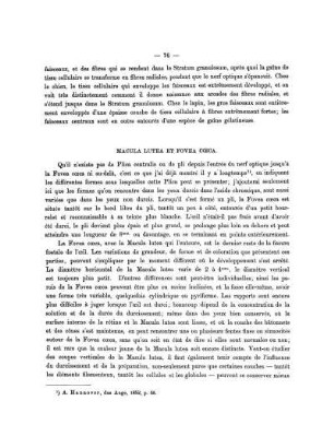 Macula Lutea Et Fovea Cœca.