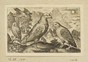 Adler, Rebhuhn und Falke, Blatt 2 der Folge "Vögel"