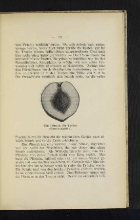Ein Pfirsich der Tropen (durchgeschnitten).