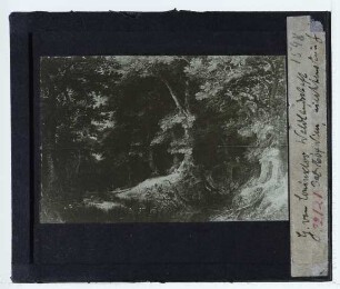 Coninxloo, Waldlandschaft (unidentifiziert)