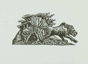 Illustration zu Tuti-Nameh "Das Papageienbuch"