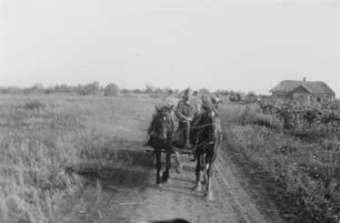 Zweiter Weltkrieg. Frontbilder. Sowjetunion. Angehöriger der deutschen Wehrmacht auf einem Pferdefuhrwerk