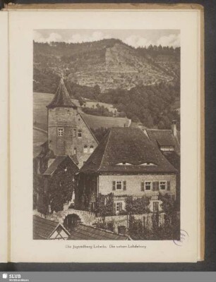 Die Jugendburg Lobeda. Die untere Lobdeburg
