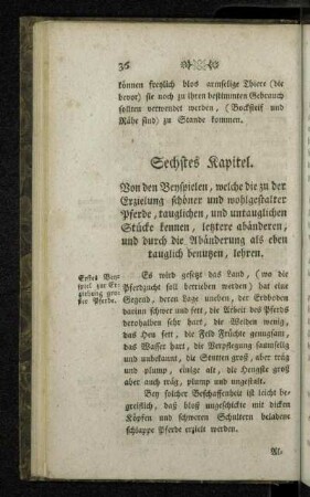 Sechstes Kapitel.