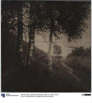 Landschaft mit Birken