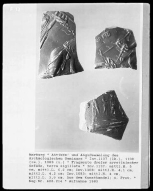 Fragment dreier arretinischer Gefäße (Terra Sigillata)