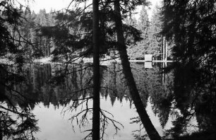 Schapbach: Glaswaldsee, Baumstämme und Spiegelung
