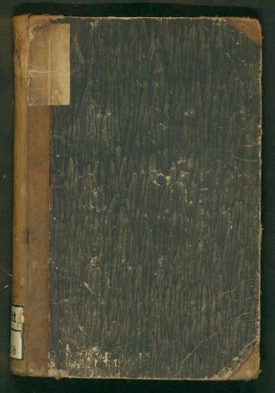 1. Buch: Kaunitz und Voltaire