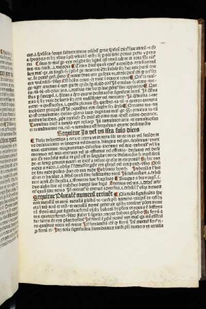 Sequitur Plurale numeru retinet