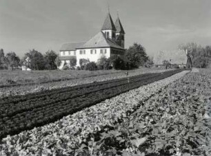 Die Stiftskirche St. Peter und Paul auf der Insel Reichenau, inmitten von Gemüsefeldern