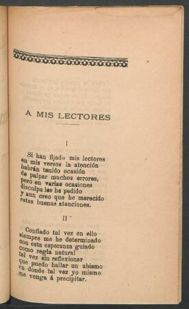 A mis lectores