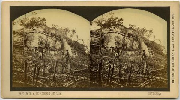 "Deforested trees in front of temple building. (presumably Las Monjas, so-called nunnery)."