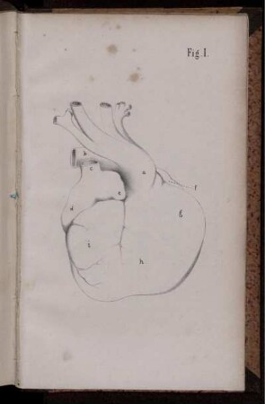 Fig. I. [bis] Fig. III.