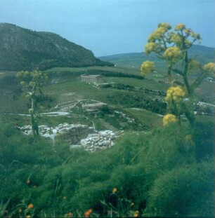 Sizilien. Blick zum Tempel von Segesta