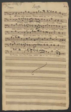 Basso (3x)