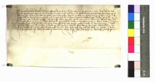 Hans Heinrich von Rottweil, der von der Stadt Rottweil inhaftiert und wieder freigelassen wurde, schwört Urfehde.
