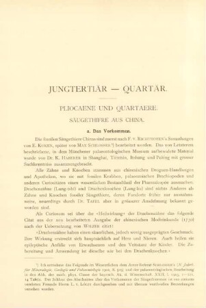 Jungtertiär - Quartär