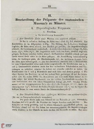 14-154 II. Beschreibung der Präparate des anatomischen Museum's zu Münster