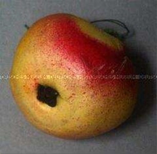 Apfel