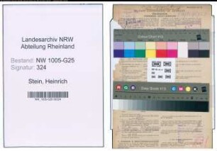 Entnazifizierung Heinrich Stein , geb. 29.04.1896 (Kaufmann)