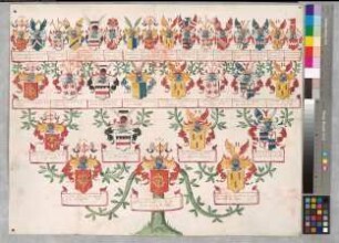 Proband: Korff, Anna Elisabeth von; Vater: Korff, Wilhelm Heinrich von; Mutter: Galen, Francelina Christina von: Nottuln, Stift