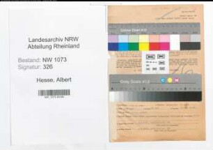Entnazifizierung Albert Hesse , geb. 13.04.1899 (Werkmeister)