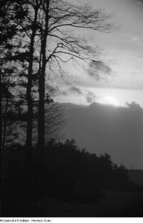 Sonne hinter Wolken, im Vordergrund Bäume