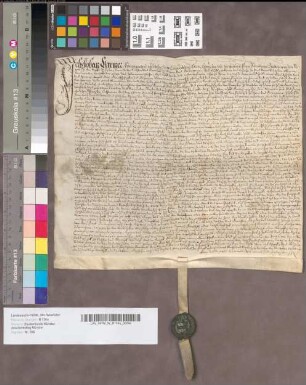 Urkunde, die sich auf die testamentarische Verfügung der virginis Elisabeth Frie (oder Freie) bezieht.