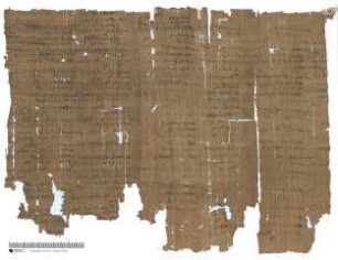 Demotischer Papyrus, Abrechnung über Landzuteilung