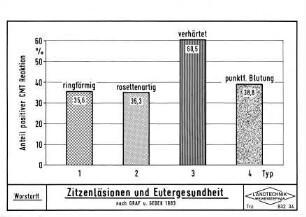 Zitzenläsionen und Eutergesundheit