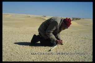 T. Monod, Palaeo-Monsun Tagung