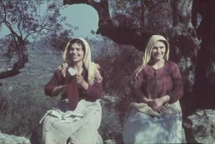 Reisefotos. Zwei junge Frauen, unter einem Olivenbaum sitzend (im Mittelmeerraum)