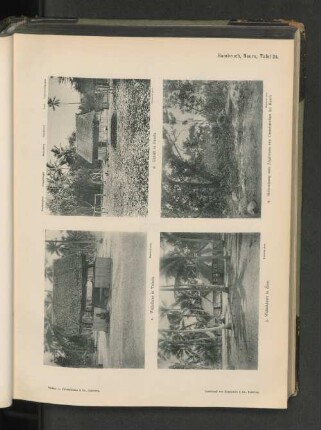 Hambruch, Nauru, Tafel 24.