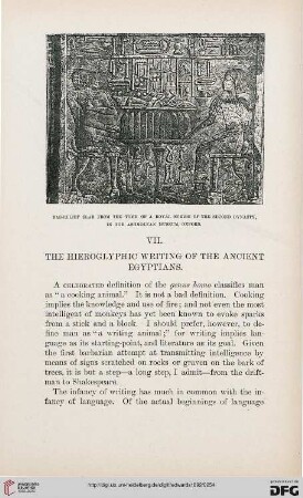 VII: The hieroglyphic writing of the ancient Egyptians