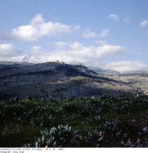 Israel: Golan