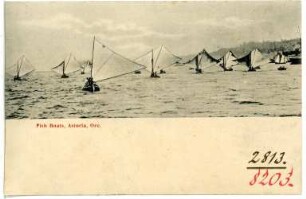 Astoria, Oregon. Fish Boats